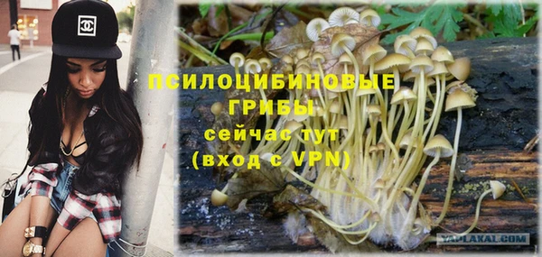 мдпв Богородицк