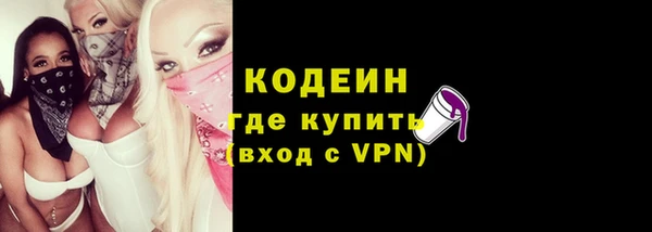 мдпв Богородицк