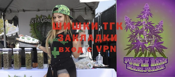 мдпв Богородицк