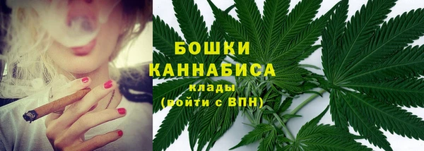 мдпв Богородицк