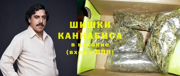 мдпв Богородицк