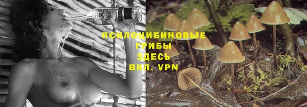 героин Богданович