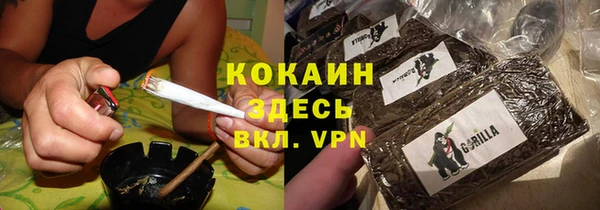 мдпв Богородицк